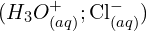 ({H_3O}_{(aq)}^+;{\rm Cl}_{(aq)}^-)