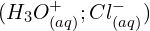 ({H_3O}_{(aq)}^+;{Cl}_{(aq)}^-)